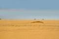 Fata Morgana (mirage) on the horizon of Sahara