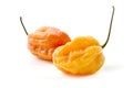 Fatalii Gourmet Jigsaw Royalty Free Stock Photo