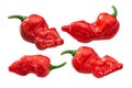 Fatalii peppers c. chinense, paths
