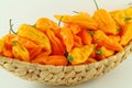 Fatalii yellow peppers Royalty Free Stock Photo