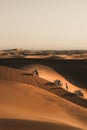 Fatbike rider up the Dune