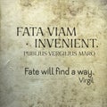 Fate will find Virgil Lat