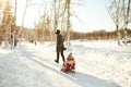 Father and child play with sleds in the winter in the park. Royalty Free Stock Photo