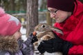 Father and cute little daughter in a pink cap playing with a grey rabbit Royalty Free Stock Photo