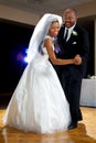 Father Daughter Dance Royalty Free Stock Photo