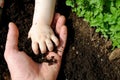 Father and daughter hands play with soil