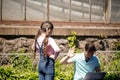 Father with daughter with laptop in park Royalty Free Stock Photo