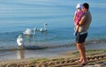 Father and daughter looking at swans