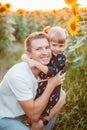 father with daughter at sunflowers field Royalty Free Stock Photo