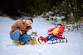 Father with daughter on a walk in the woods, daughter sitting on a sleigh and playing with a husky, a cheerful family with a dog Royalty Free Stock Photo