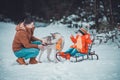 Father with daughter on a walk in the woods, daughter sitting on a sleigh and playing with a husky, a cheerful family with a dog Royalty Free Stock Photo