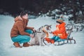 Father with daughter on a walk in the woods, daughter sitting on a sleigh and playing with a husky, a cheerful family with a dog Royalty Free Stock Photo