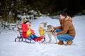 father with daughter on a walk in the woods, daughter sitting on a sleigh and playing with a husky, a cheerful family Royalty Free Stock Photo