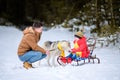 father with daughter on a walk in the woods, daughter sitting on a sleigh and playing with a husky, a cheerful family Royalty Free Stock Photo
