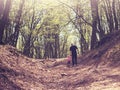 Father and daughter walking in the colorful forest Royalty Free Stock Photo