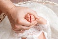 Father or doctor massaging small baby`s foot.  Newborn baby feet in mother hands in white background.  Mother gently holding legs Royalty Free Stock Photo