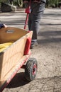 The father of the family is carrying a baby wagon for children with a boy inside. Royalty Free Stock Photo