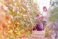 Father giving organic tomato to daughter at farm