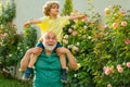 Father giving son ride on back in park. Happy grandfather giving grandson piggyback ride on his shoulders and looking up Royalty Free Stock Photo