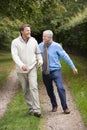 Father and grown up son walking along path