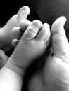 Father hand holding baby feet Royalty Free Stock Photo