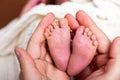 Father hands holding cute beautiful caucasian newborn baby boy little pink feet, one week old in white blanket. Concept Royalty Free Stock Photo