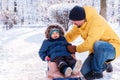 Father helping toddler child to sit comfortably in sled for winter walk. Dad and son get ready to go sledging on bright snowy day Royalty Free Stock Photo
