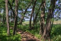 Father Hennepin State Park is located on Mille Lacs Lake in Nort Royalty Free Stock Photo