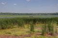 Father Hennepin State Park is located on Mille Lacs Lake in Nort Royalty Free Stock Photo