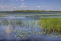 Father Hennepin State Park is located on Mille Lacs Lake in Nort Royalty Free Stock Photo