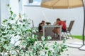 Father and his adorable happy daughter playing  with tablet on terrace under the sun shade with eucalyptus bush on foreground Royalty Free Stock Photo