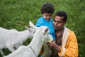Father and his little son feeding with the cabbage two funny goats while sitting Royalty Free Stock Photo