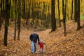 Father and his toddler son walking during the hiking activities in autumn forest at sunset Royalty Free Stock Photo