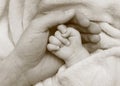 Father hold baby hand in the palm Royalty Free Stock Photo