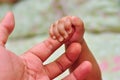 Father holding the hand of his new born son Royalty Free Stock Photo