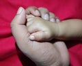 Father holding the kid palm in hand showing the love Royalty Free Stock Photo