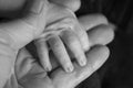 Father holding a newborn baby hand in his. Black and white child hand closeup into parent hands together Royalty Free Stock Photo