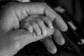 Father holding a newborn baby hand in his. Black and white child hand closeup into parent hands together Royalty Free Stock Photo