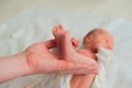 Father holds the feet of newborn. Small legs of child in the hands of parent close-up. Newborn baby care concept Royalty Free Stock Photo