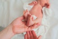 Father holds the feet of newborn. Small legs of child in the hands of parent close-up. Newborn baby care concept Royalty Free Stock Photo