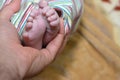 A father holds his baby's foot, a newborn little toes in parent's hand, feet of newborn baby on father's palm Royalty Free Stock Photo