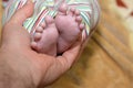 A father holds his baby's foot, a newborn little toes in parent's hand, feet of newborn baby on father's palm Royalty Free Stock Photo