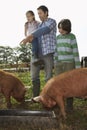 Father With Kids Watching Pigs Feed In Sty Royalty Free Stock Photo