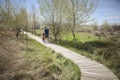 Father and little daughter walking on a path of wooden boards in a wetland Royalty Free Stock Photo