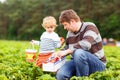 Father and little kid boy on strawberry farm in summer Royalty Free Stock Photo