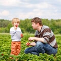 Father and little kid boy on strawberry farm in summer Royalty Free Stock Photo