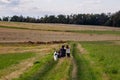 Father, little preschool girl and family dog walking outdoors. Middle-aged man and cute daughter with pet. Happy child Royalty Free Stock Photo