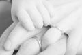 Father mother and baby holding hands family Royalty Free Stock Photo