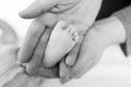 Father or mother holding foot of newborn baby. Adult hand and baby tiny baby feet. Happy parenthood, carefree childhood