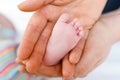 Father or mother holding foot of newborn baby. Adult hand and baby tiny baby feet. Happy parenthood, carefree childhood